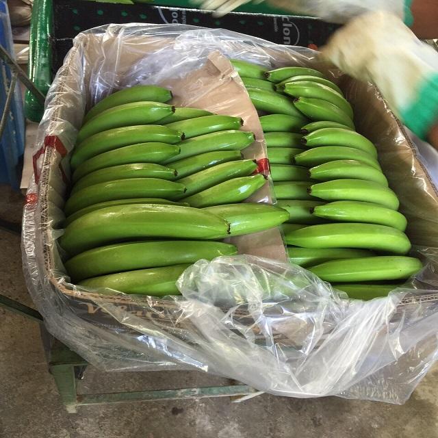 Экспортеры бананов. Вьетнамские бананы. Индийские бананы.