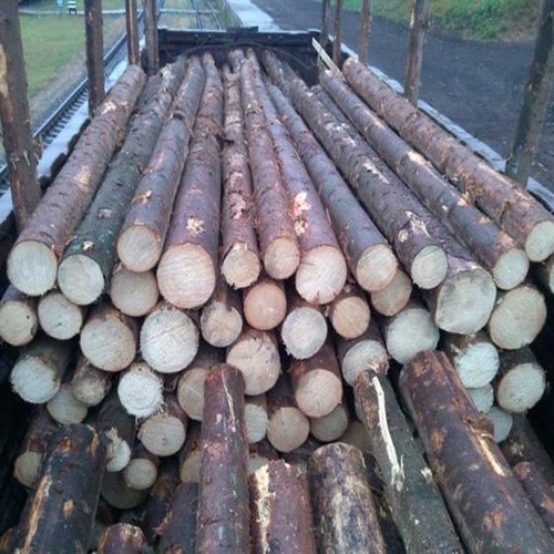 Wholesale Pine Timber Wood Sawn Round Hardwood Sawn Timber Logs