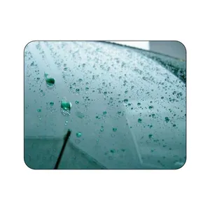 Hot Selling Water Repellent Nano Super Hydrophobic Self-Cleaning Glass Coating For Sale At Bulk Order