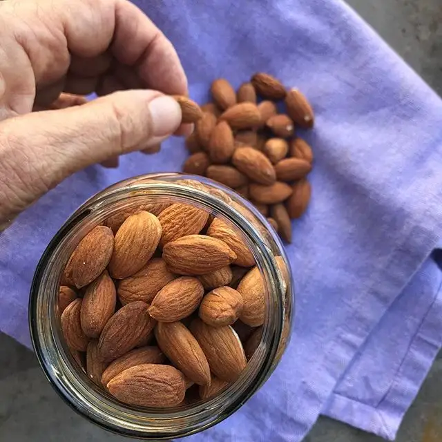 Premium Grade Almond Nuts / Raw Natural Almond Nuts / Organic Bitter Almonds
