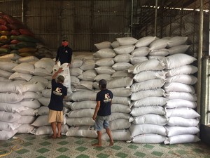 Pimienta Negra de Vietnam, Bayas Ligeras, 300G/L - 400G/L, Empaque a Granel de 25-50KG para Exportación (+84986778999 Sr. David) - Product Image 4