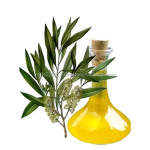 Huile de cajeput (Melaleuca cajuputi) -Parfum naturel pur 100% huile essentielle antibactérienne à base de plantes approvisionnement en vrac - Product Image 3