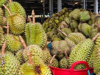 Verse Durian Gouden Kussen Durian / (Ms) Kio Huynh