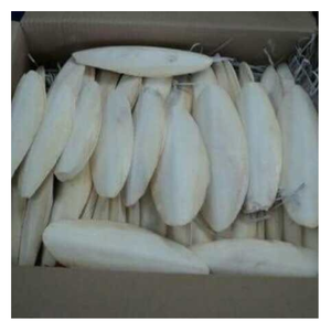 Os de poisson de seiche blanc du vietnam, minéraux pour les oiseaux et les reptiles, médecine traditionnelle, - Product Image 3