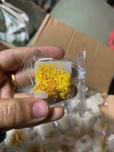 Vietdelta fabrica azúcar de crisantemo en piezas importadas de Vietnam - Product Image 4