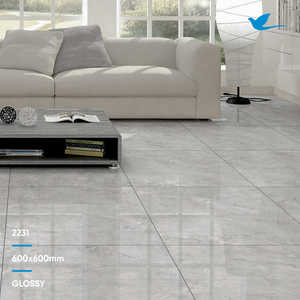 Faak — carreaux de sol en porcelaine rustique, série glaçage, mat et gris pour la cuisine, 600x600mm - Product Image 6