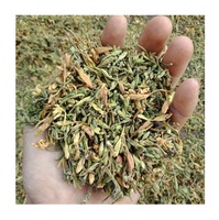 Fleurs de PAPAYA séchées pour hommes, origine VIETNAM, données en or 99, vente en gros