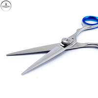 Ciseaux pour Salon de coiffure et rasoir, accessoires professionnels, de qualité professionnelle, vente en gros, à bas prix, nouveauté