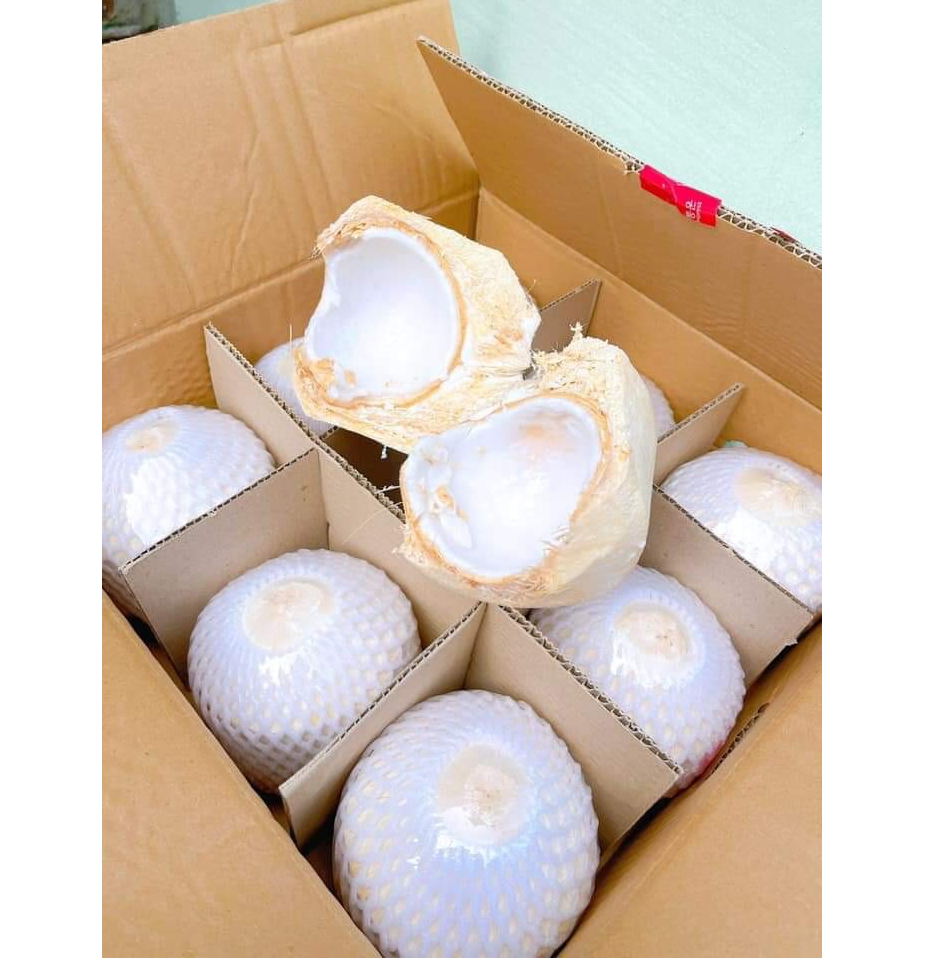 Fresh Coconut Diamond Cut Coconut No Husk Made In Vietnam High Quality 100% Natural Sweet Fresh