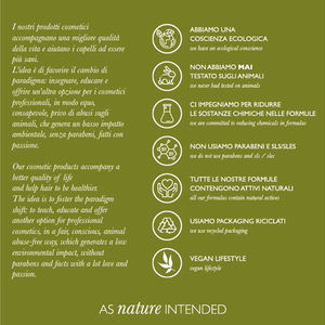 Sérum capillaire hydratant réparateur intensif en spray, formule italienne écologique au fenugrec et au gingembre pour le traitement des cheveux - Product Image 4