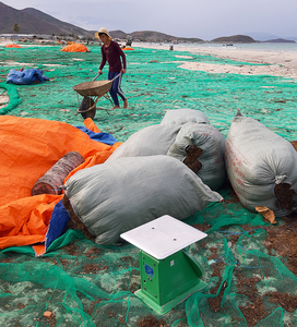 สาหร่ายทะเลแห้งราคาถูก - Product Image 5