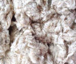 Lickerin a et B/Card Fly/Bande plate Déchets de coton Déchets textiles par Mme Claire - Product Image 2