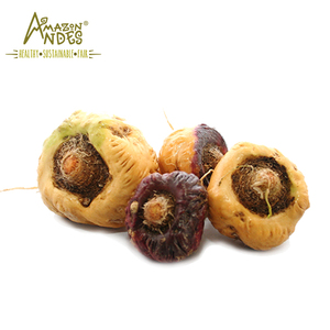 Extracto de raíz de Maca orgánico, tónico nutritivo en polvo a granel - Product Image 3