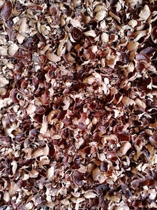 Offres Spéciales CASHEW HUSK 3-10mm Marron 10% Humidité GGN Marque MOINS CHER PRIX 2025 - Product Image 3