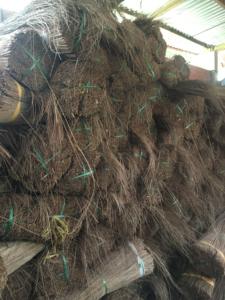 Bâton de balai en noix de coco, haute qualité, pour cuisine, prix le plus vendu - Product Image 5