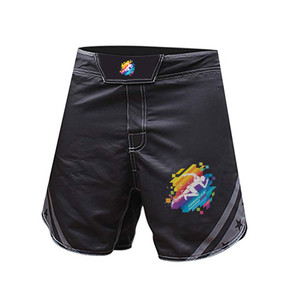 Design Your Own Custom Formula1 Industries Unisex Adult MMA Shorts-Black Color Spandex/Polyester <b>Material</b> - Product Image 1