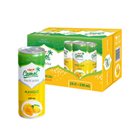Goed Voor Gezondheid Nectar Vruchtensap Natuurlijke Oranje Vruchtensap