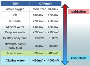 Ioniseur électrique en plastique Buder fabriqué au Japon avec antioxydant et ORP maximal de -450 mV pour usage domestique - Product Image 4