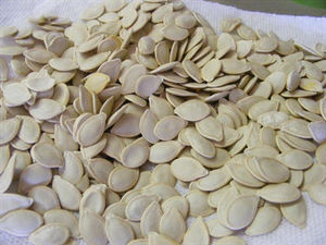 เมล็ดฟักทองอบ/แห้ง/สีเหลืองอำพัน - Product Image 3