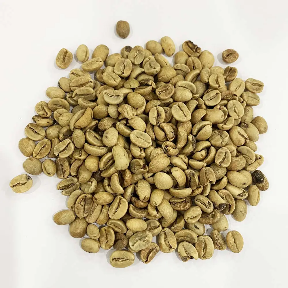 Grains de café rétro organiques, commerce direct, café vert, en forme de grains rôti, tasses à expresso