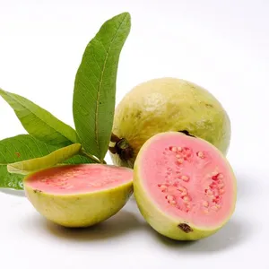Hiçbir koruyucu kırmızı guava/pembe guava püresi İthalatçılar için-Whatsapp: + 84-845-639-639