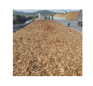 Disques 1000 pièces de bois d'acacia au VIETNAM, en pâte industrielle - Product Image 4