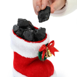 INDONESIA FRUIT CHARCOAL, NATURAL WOOD CHARCOAL, BBQ CHARCOAL BEST SELLER IN Espelkamp GERMANY - Product Image 1