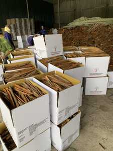 SPLIT CASSIA and CINNAMON <b>STICK</b> BEST QUALITY Dried Raw Natural Vietnam Export From Phalco Vietnam JSC - Product Image 5