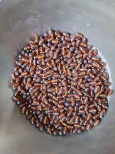 Vente en gros de perles de verre au chalumeau uniques faites à la main cristal doré soufflé à la main exquis avec finition arc-en-ciel de forme carrée - Product Image 3