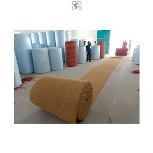 Bio Degradable Stain-resistant Widely Selling Good Quality Coir Fiber Natural Carpet Roll for Indoor or Outdoor Stairs