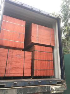 Contreplaqué jetable avec colle WBP, conteneur de sol - Product Image 3