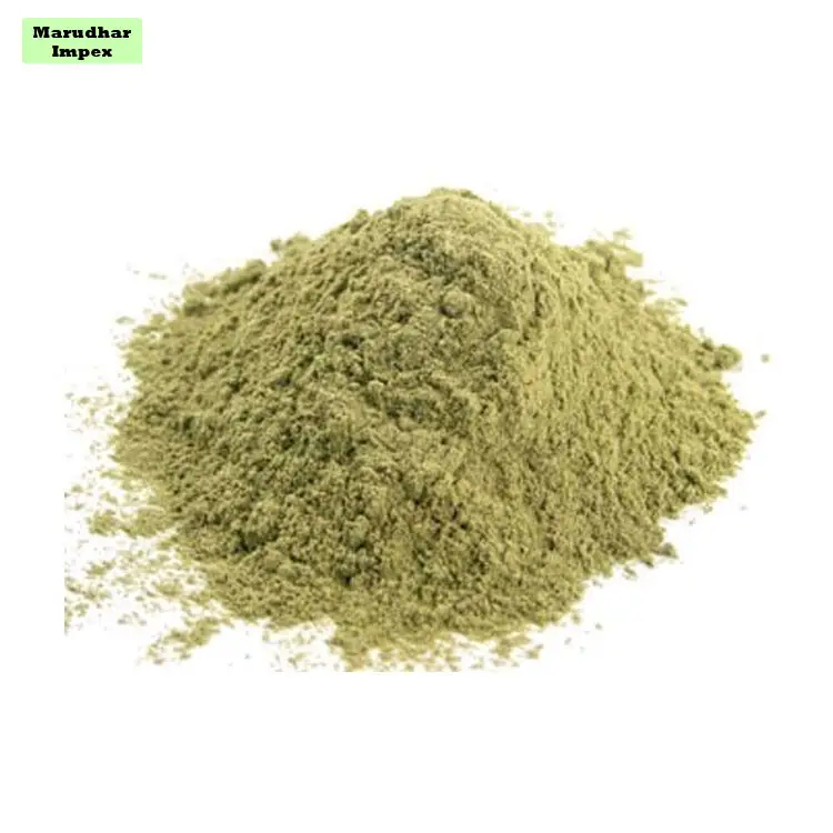 Genuine Quality Herbal Extract Punarnava Powder at Best Market Price