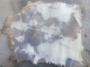 Peau de parchemin vélin - Product Image 6