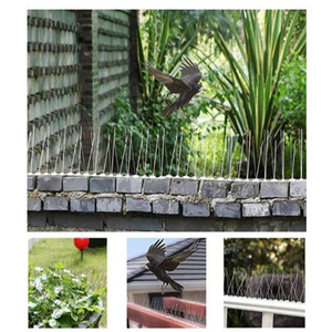 Pinchos de Acero Inoxidable para Aves, accesorios para pájaros, Sistema de jardín - Product Image 6