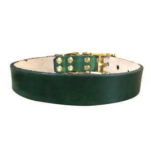 Meilleur prix collier de chien réglable de luxe en cuir vert personnalisé solide solide fabricant grossiste dentelle rembourré colliers pour animaux de compagnie - Product Image 2