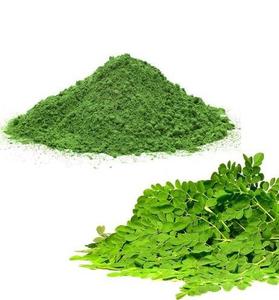 POLVO DE MORINGA de Alta Calidad en Venta a Buen Precio - Product Image 1