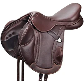 สีน้ำตาล