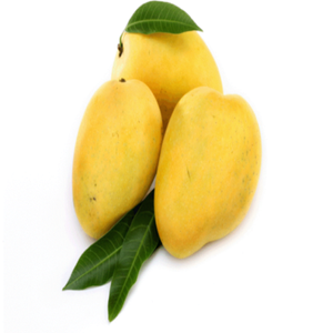 Deliciosa Puré de Mango - Sabor Agridulce de Mango Dulce, Fruta Tropical - Product Image 4