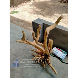 Top Trending 2025 Aquarium Decoration Plants Natural Thanh Lieu Style Driftwood for Aquatic Wholesale - Product Image 2