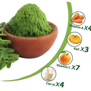 Feuille de Moringa (Moringa Oleifera) Vietnam séché 100% poudre d'extrait de plantes pures dans un récipient en plastique de qualité supérieure - Product Image 1