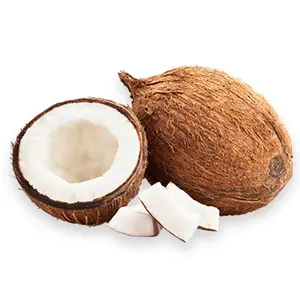 유기 천연 코코넛 건조 과일 대량 도매 신선한 성숙한 코코넛 작물 달콤한 물 반 껍질 코코넛 방글라데시