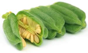 Aceite Portador de Semillas de Sésamo Prensado en Frío, Certificado GMP, Brasileño, Inodoro, Aceite Líquido Versátil, Similar a la Aceite de Oliva, Jojoba, Coco y Karité - Product Image 2