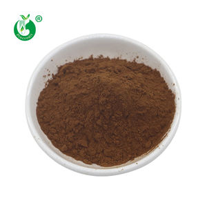 厂家直销，价格有竞争力，蒲公英黄酮粉，蒲公英根提取物 - Product Image 2