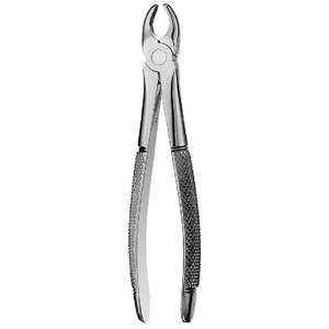 Extracting Forceps - Product Image 6