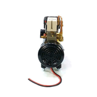 Mini compresseur d'air à Piston, 4x4, sans huile, haute efficacité, résistant aux intempéries, à longue autonomie, 12 V/24V