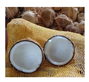 Fsile-fabricant en noix de coco antiques secs de haute qualité, du Vietnam, (minnie 0084702917076 WA) - Product Image 2