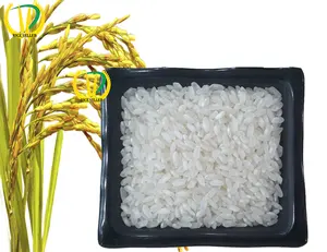 100% أرز عضوي الأبيض المتوسط الأرز قصيرة الحبوب مع عالية الجودة المنشأ في فيتنام 2022