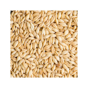 A granel, para maltas - Product Image 5