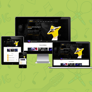 Music Website Development Company in India | Award Winning Music Website Development Services by Webroot Infosoft - Product Image 4