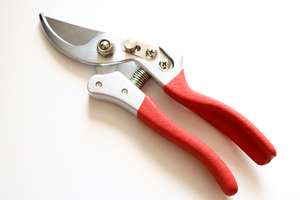 High Quality Wholesale Bonsai Scissors <b>Gardening</b> Pruner Bypass Pruning Scissors <b>Secateurs</b> Plant Cutting Tools - Product Image 3